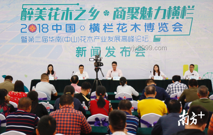 在重庆孟村花的感动之旅：探索【主播说三农】的乡村振兴力量